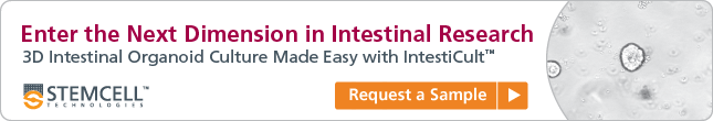 Request a Sample: 3D Intestinal Organoid Culture Made Easy with IntestiCult™